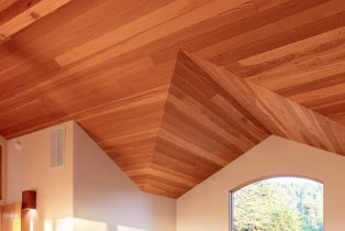 Single Family Residence, Shepherds Close none, Sea Ranch, CA 95497 - 52