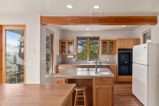 Single Family Residence, Shepherds Close none, Sea Ranch, CA 95497 - 8