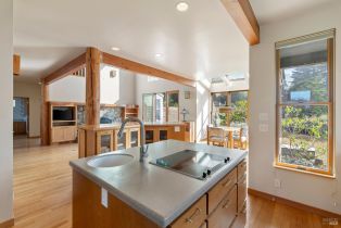 Single Family Residence, Shepherds Close none, Sea Ranch, CA 95497 - 11