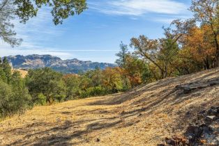 Single Family Residence,  Bennett lane, Calistoga, CA 94515 - 29