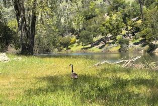 Single Family Residence,  Bennett lane, Calistoga, CA 94515 - 9