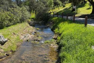 Single Family Residence,  Bennett lane, Calistoga, CA 94515 - 36