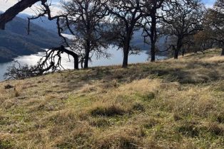 Agriculture,  State 128 highway, Napa, CA 94558 - 13