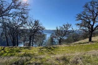 Agriculture,  State 128 highway, Napa, CA 94558 - 16