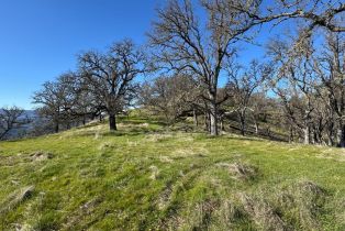 Agriculture,  State 128 highway, Napa, CA 94558 - 29