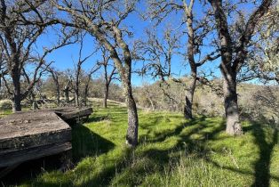 Agriculture,  State 128 highway, Napa, CA 94558 - 21