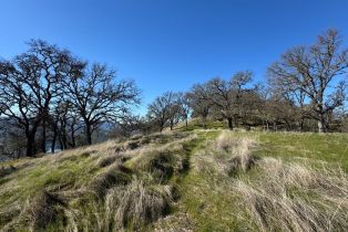 Agriculture,  State 128 highway, Napa, CA 94558 - 17