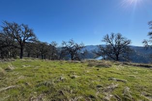 Agriculture,  State 128 highway, Napa, CA 94558 - 27