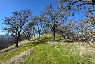 Agriculture,  State 128 highway, Napa, CA 94558 - 15