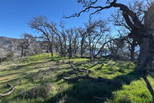 Agriculture,  State 128 highway, Napa, CA 94558 - 25