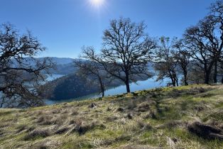 Agriculture,  State 128 highway, Napa, CA 94558 - 19