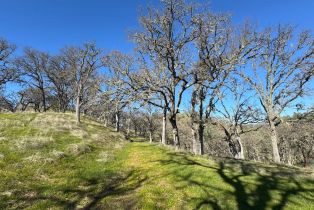 Agriculture,  State 128 highway, Napa, CA 94558 - 14