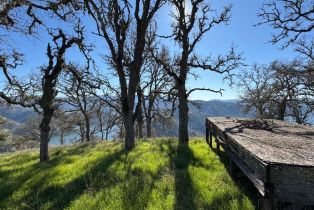 Agriculture,  State 128 highway, Napa, CA 94558 - 23