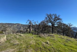 Agriculture,  State 128 highway, Napa, CA 94558 - 26