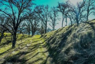 Agriculture,  State 128 highway, Napa, CA 94558 - 10