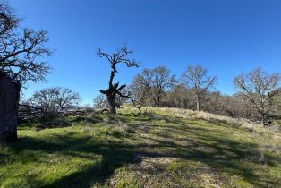 Agriculture,  State 128 highway, Napa, CA 94558 - 20