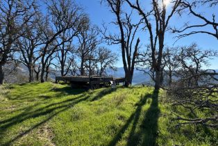 Agriculture,  State 128 highway, Napa, CA 94558 - 24