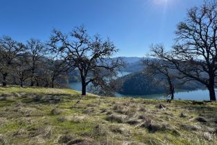 Agriculture,  State 128 highway, Napa, CA 94558 - 18