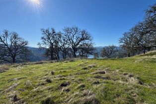 Agriculture,  State 128 highway, Napa, CA 94558 - 28