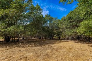 Single Family Residence, Montecito boulevard, Napa, CA 94559 - 28