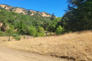 Land, 11520 Skaggs Springs Rd, Healdsburg, CA  Healdsburg, CA 95448