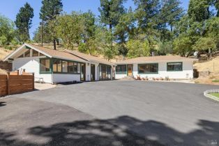 Single Family Residence,  Bennett lane, Calistoga, CA 94515 - 4