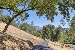 Single Family Residence,  Bennett lane, Calistoga, CA 94515 - 27