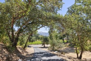 Single Family Residence, 1200 Bennett Ln, Calistoga, CA  Calistoga, CA 94515