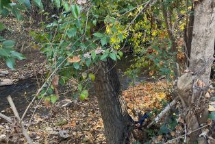 Single Family Residence, Eggleston street, Napa, CA 94559 - 7