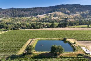 Agriculture,  Silverado trail, Calistoga, CA 94515 - 3
