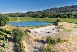 Agriculture,  Silverado trail, Calistoga, CA 94515 - 15