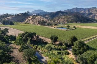 Agriculture,  Silverado trail, Calistoga, CA 94515 - 2