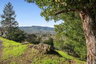 Residential Lot,  Richards boulevard, Sonoma, CA 95476 - 8