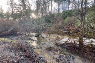 Residential Lot,  Porter Creek road, Santa Rosa, CA 95404 - 12