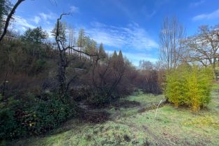 Residential Lot,  Porter Creek road, Santa Rosa, CA 95404 - 10