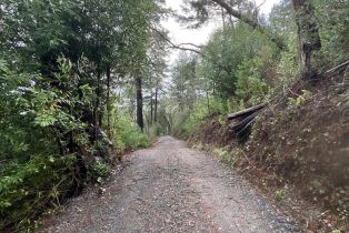 Residential Lot,  Porter Creek road, Santa Rosa, CA 95404 - 19