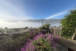 Single Family Residence, Capell Valley road, Napa, CA 94558 - 13