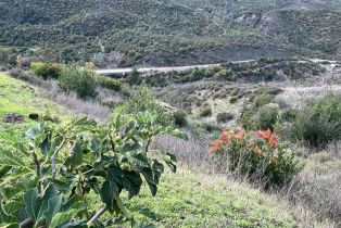 Single Family Residence, Capell Valley road, Napa, CA 94558 - 9