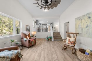 Single Family Residence, Capell Valley road, Napa, CA 94558 - 45