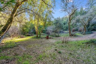 Single Family Residence,  Redwood road, Napa, CA 94558 - 21