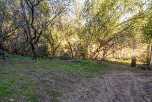 Single Family Residence,  Redwood road, Napa, CA 94558 - 22