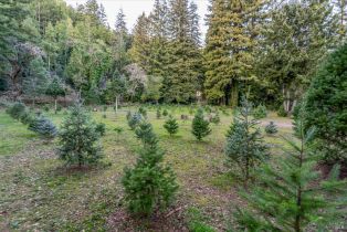 Single Family Residence,  Redwood road, Napa, CA 94558 - 19