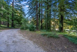 Single Family Residence,  Redwood road, Napa, CA 94558 - 7