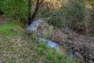 Single Family Residence,  Redwood road, Napa, CA 94558 - 23