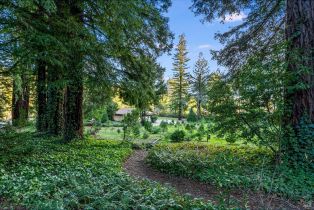 Single Family Residence,  Redwood road, Napa, CA 94558 - 8