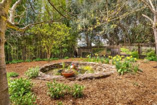 Single Family Residence,  Robinson road, Sonoma, CA 95476 - 39