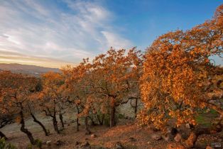 Single Family Residence,  Matanzas Creek lane, Santa Rosa, CA 95404 - 23