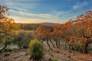Single Family Residence,  Matanzas Creek lane, Santa Rosa, CA 95404 - 22