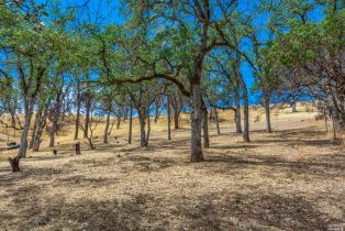 Residential Lot,  Headlands drive, Napa, CA 94558 - 10