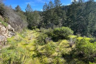 Residential Acreage,  Diamond Mountain road, Calistoga, CA 94515 - 6